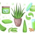 Clean Beauty Goes Local: The Rise of Farm-to-Face Sustainable Brands