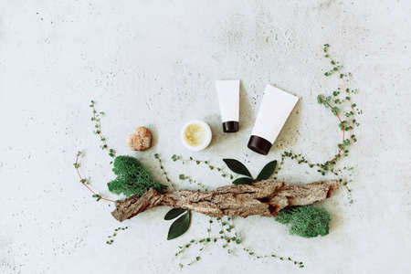 Top 10 Organic Skincare Brands Revolutionizing Clean Beauty in the US