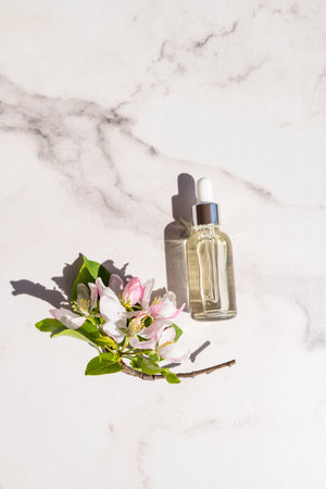 Oil-Free vs. Non-Comedogenic: What’s Best for Oily Skin?