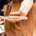 Hair Texture, Climate, and Styling Products: Regional Haircare Tips Across the U.S.