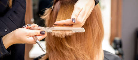 Hair Texture, Climate, and Styling Products: Regional Haircare Tips Across the U.S.