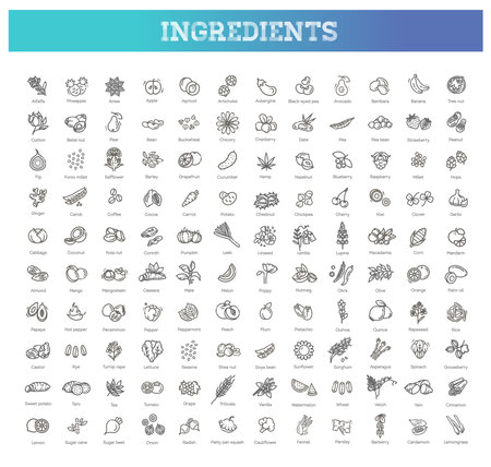 Best Natural Ingredients for Oily Skin