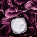 Anti-Aging Moisturizers: Do They Really Reduce Wrinkles and Fine Lines?